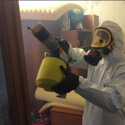 Уничтожение клопов в квартире. Верхний Тагил